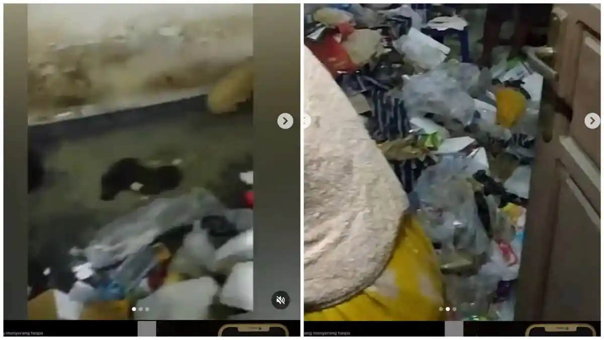 Penghuni Kos Tidur Bareng Sampah Busuk hingga Didobrak Warga, Kenali Kelainan Hoarding Disorder