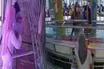 Dua-perempuan-terekam-CCTV-menggasak-perhiasan-di-toko-emas-Pasirian-Lumajang.jpg