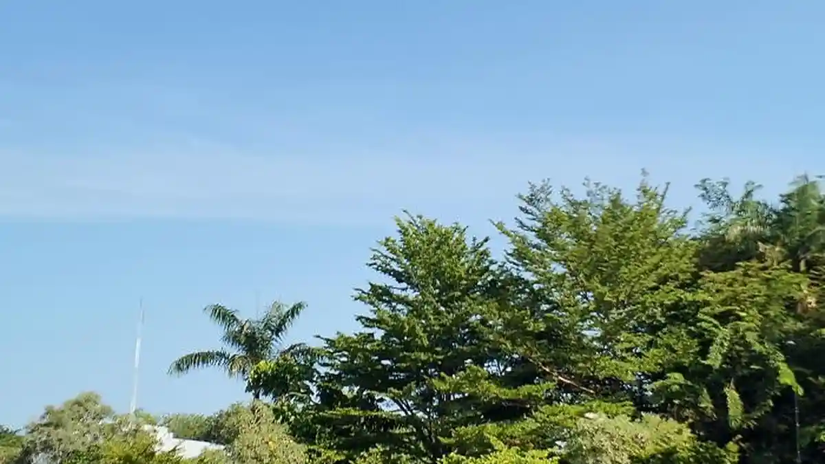 Update Cuaca Sumbar Hari Ini: Padang Panjang Terancam Hujan Petir, Cek Daftar Lengkap 7 Kota