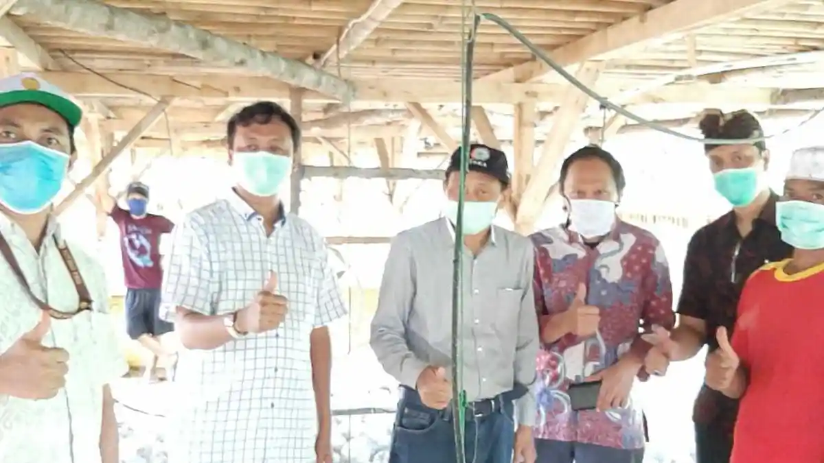 Kementan: Perusahaan Mitra Beli Lebih dari 200 Ribu Ayam Ras Peternak Mandiri