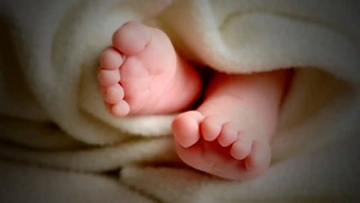 Ali Rido Kaget Temukan Sesosok Bayi Masih Hidup di Dalam Tas Kresek