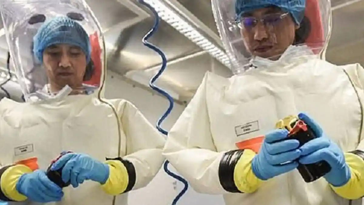 Institut Virologi Wuhan, Laboratorium yang Disebut Sebagai Sumber Wabah Covid-19