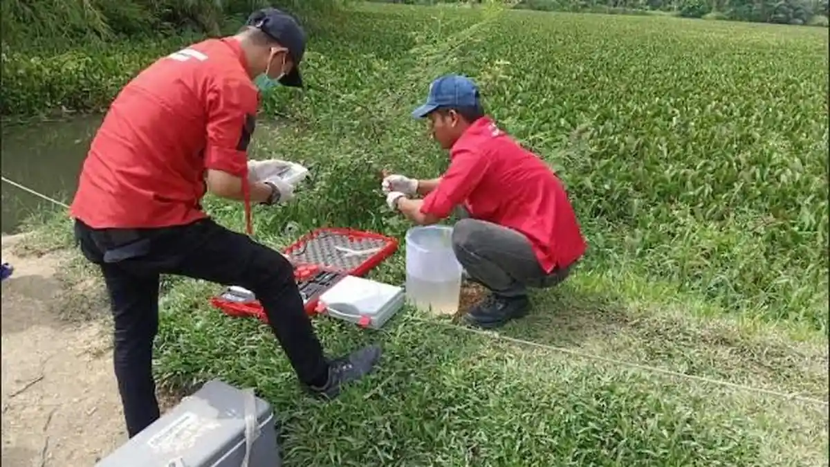 Ribuan Ekor Ikan di Keramba Warga Batubara Mati, Ini Kata Polisi