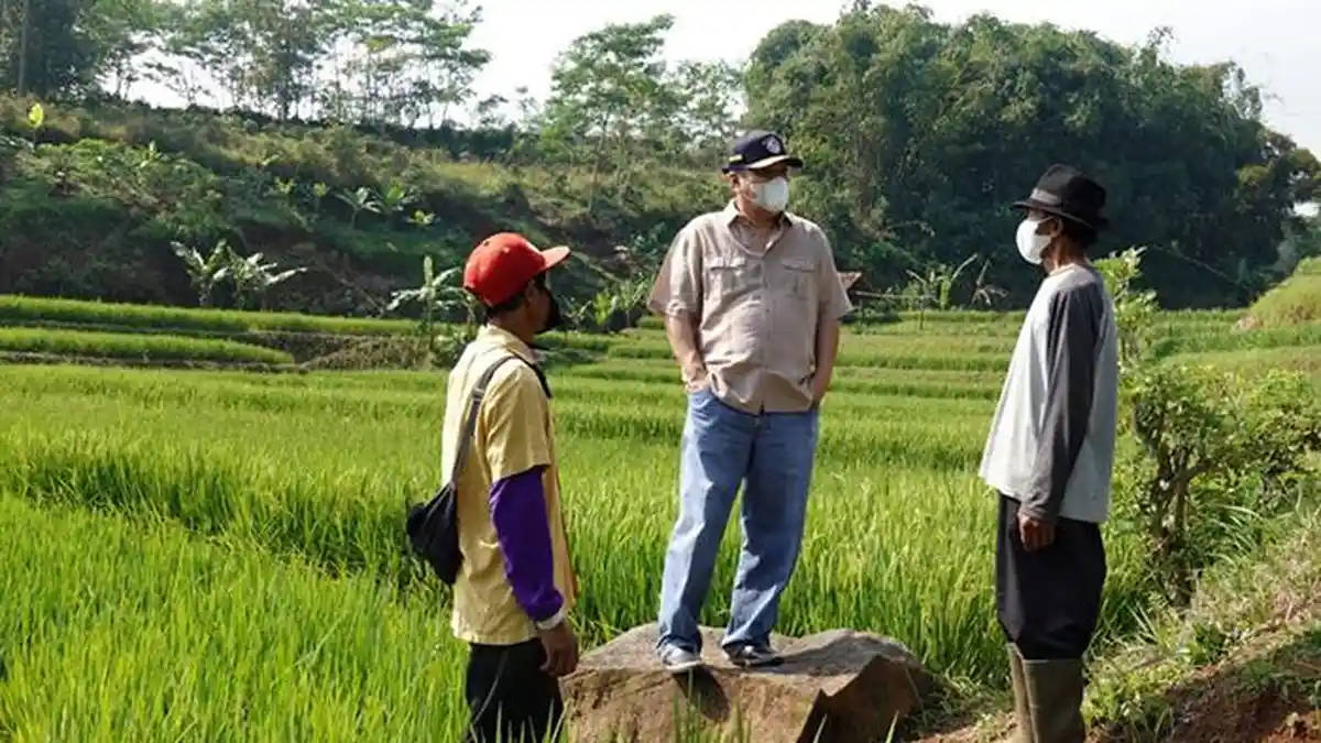 Realisasi Bendungan Mujur di Lombok Tengah Dapat Percepat Program Food Estate NTB