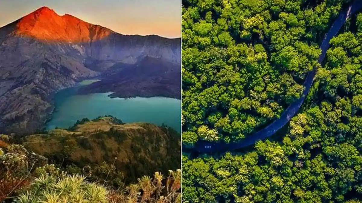 'Bintang 1' Gunung Rinjani VS Hutan Amazon Viral, Netizen Indonesia: Hati-hati Dimakan Anakonda