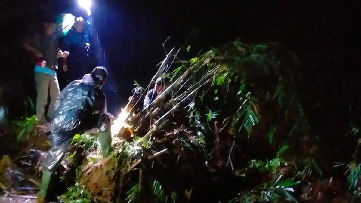 Tebing Setinggi 20 Meter di Sumedang Selatan Longsor, Akses Jalan Penghubung Dua Desa Lumpuh Total