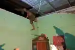 Hendak Kabur Lewat Plafon, Menantu Rudapaksa Mertua di Gowa Ditangkap: Turun, Turunko Kutembakko!