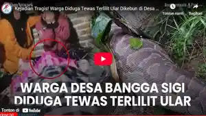 Tebas-Ular-Piton-5-Meter-usai-Telan-Kepala-Anaknya-Sang-Ayah-Korban-Pilu-Temukan-Putranya-Tewas.jpg