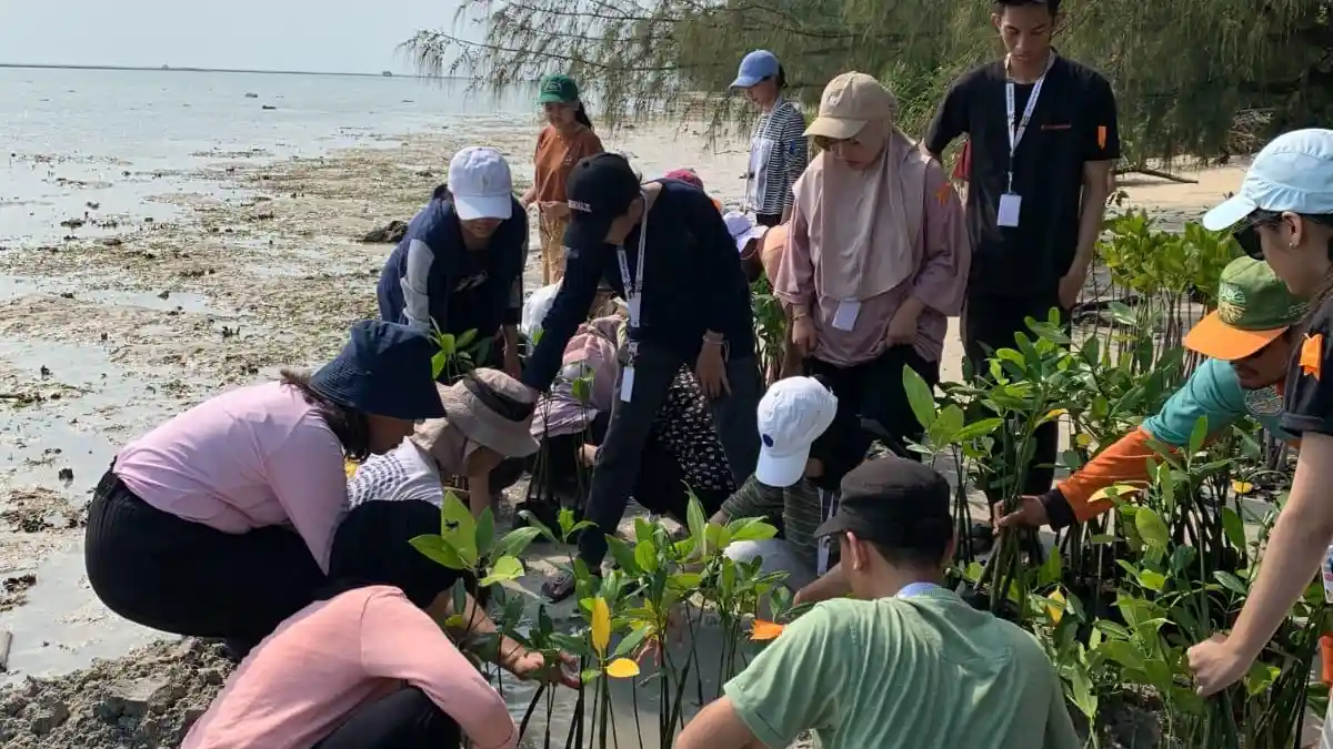 Hadapi Ancaman Krisis Iklim, BEM UI Tanam Ribuan Bibit Mangrove di Pulau Tidung