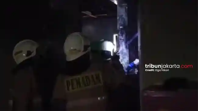 Tribun