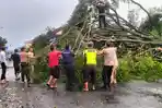 BREAKING NEWS Hujan Angin Terjang Purbalingga, Pohon Tumbang Tutup Akses Jalan Utama