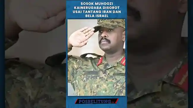 Tribun