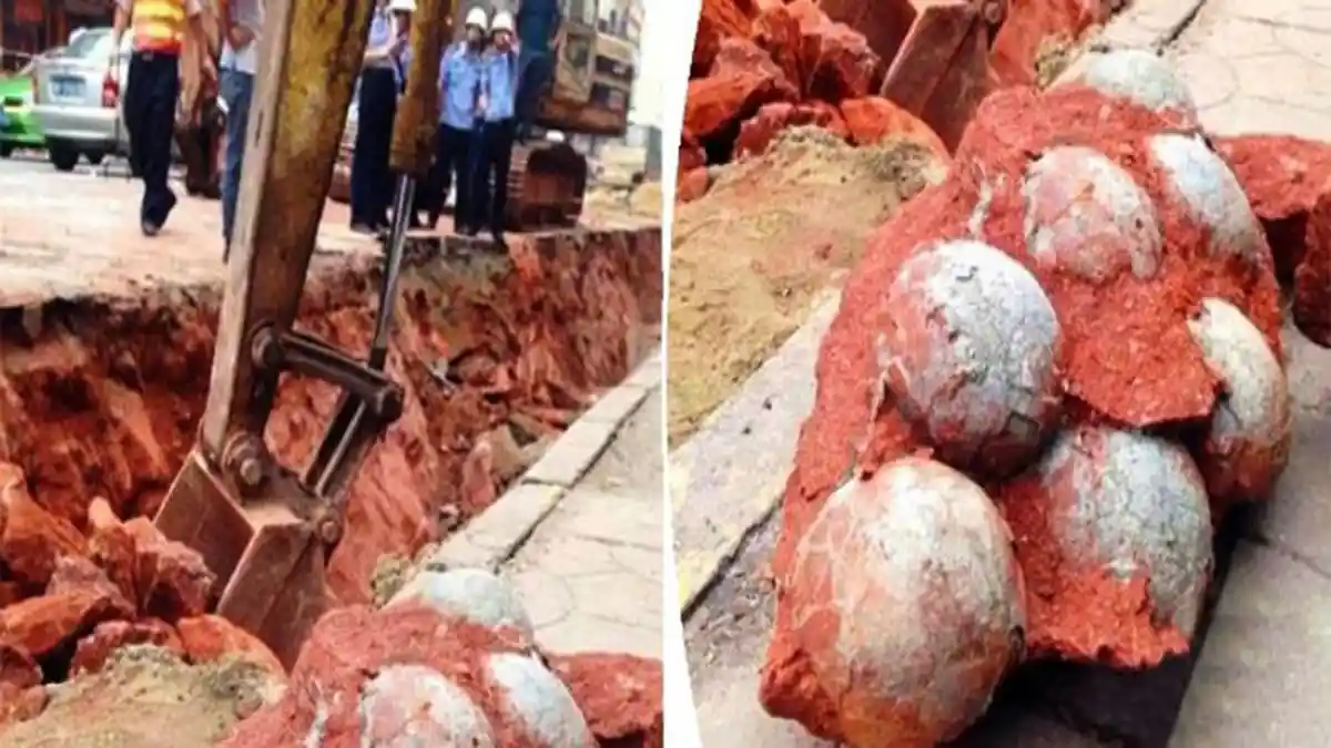Saat Menggali Tanah, Pekerja Pembangunan Jalan Ini Terkejut Temukan Benda Bersejarah
