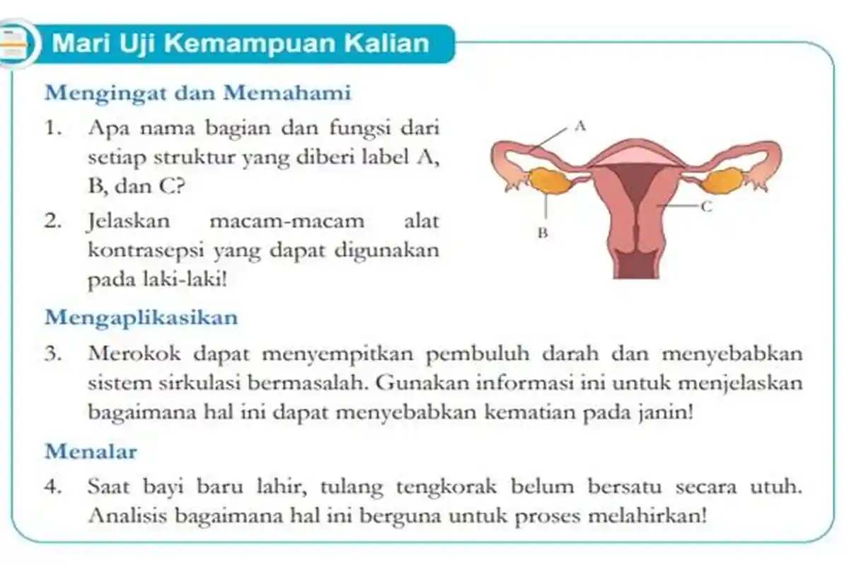 Kunci Jawaban IPA Kelas 9 SMP Halaman 44 Semester 1 Kurikulum Merdeka, Mari Uji Kemampuan Kalian