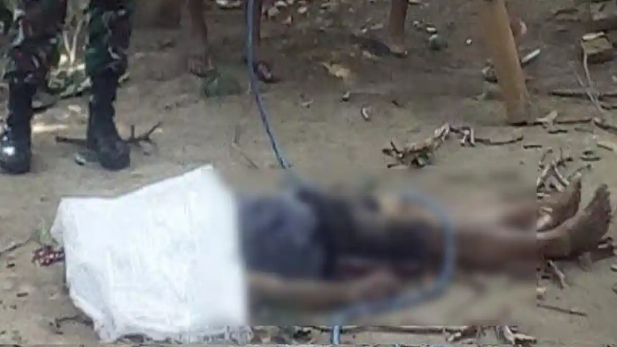 Dimintai Tetangga Potong Ranting, Warga Sananwetan Blitar Ini Tewas Terjatuh dari Pohon