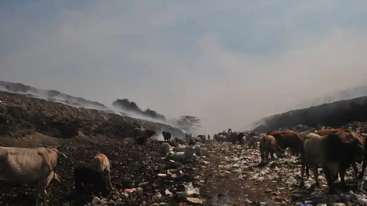 Terdampak Asap Sisa Kebakaran Sampah TPA Putri Cempo Solo, Warga Terpaksa Mengungsi