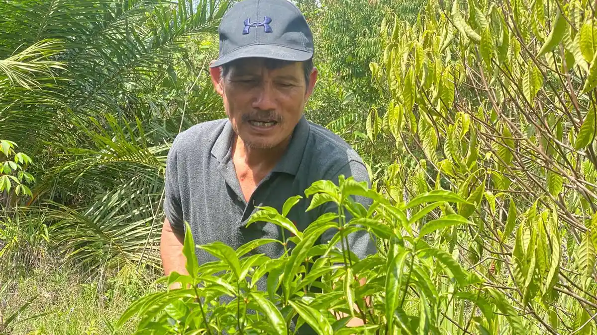 Warga Ensaid Panjang Jaga Hutan Bukit Rentap, 197 KK Nikmati Air Bersih ...