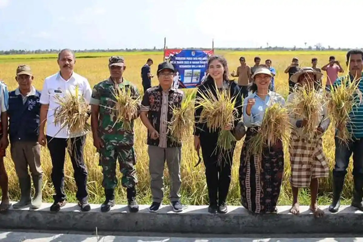 Sikapi Dampak El Nino, Pemkab Sumba Timur Fokus Maksimalkan Produksi Pangan