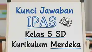 Kunci-jawaban-IPAS-kelas-5-SD-Kurikulum-Merdeka.jpg