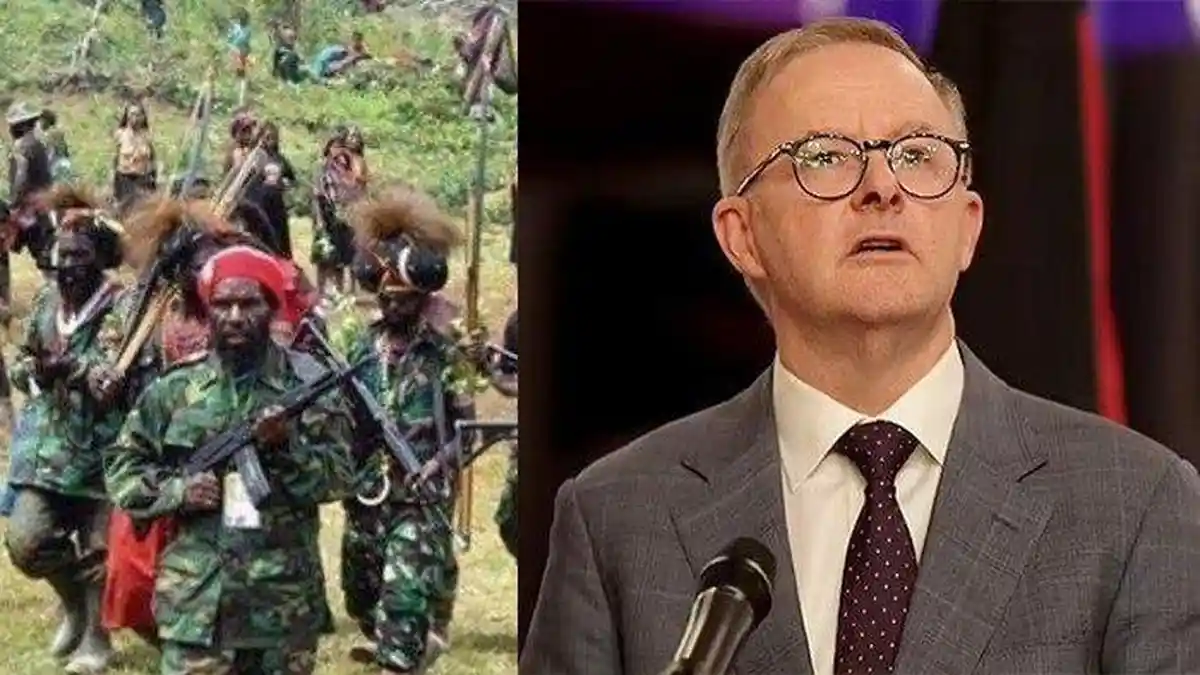 KKB Papua Kirim Surat ke PM Australia Anthony Albanese, Minta Dukungan agar Merdeka dari Indonesia