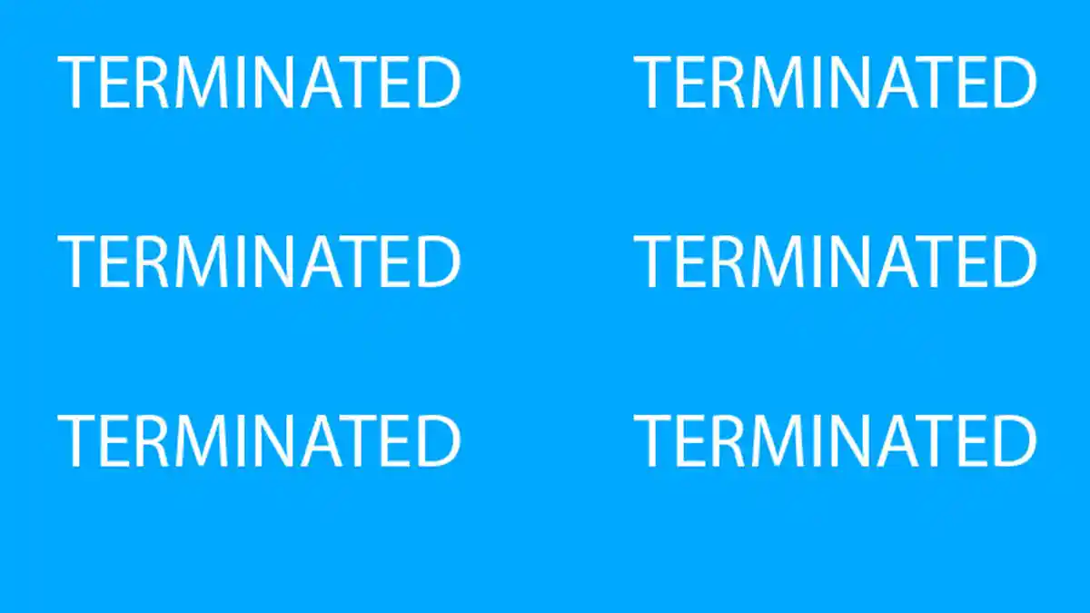 Arti Kata Terminated, Farewell, Announcement Dalam Dunia Esports, Sering Diposting di Instagram