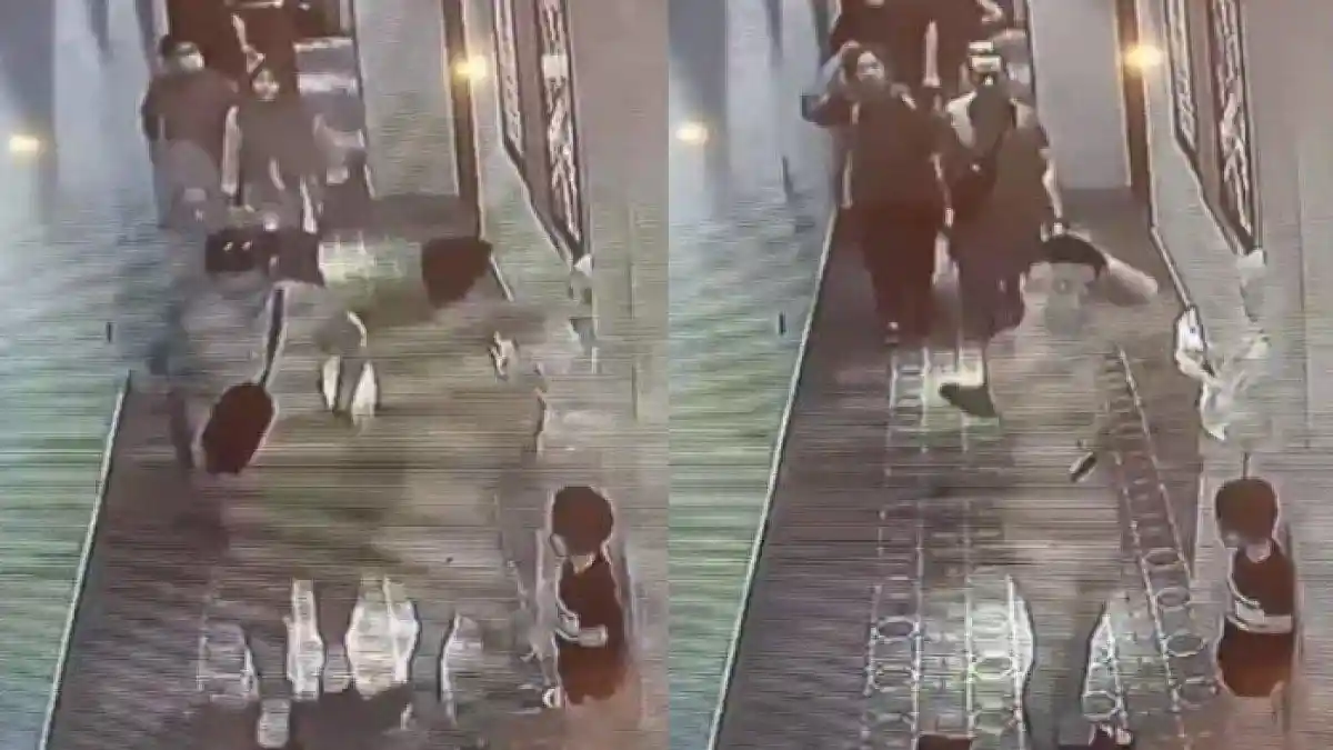 Nasib Apes Pria di Medan Jadi Korban Pencurian Gegara Lalai Letakkan HP, Detik-detik Beraksi Viral