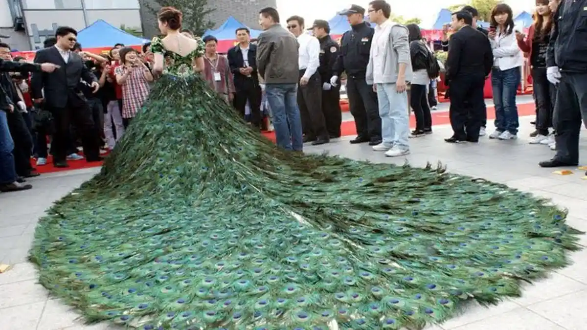 Wooow! Berasal dari Bulu Merak Asli, Gaun Pengantin ini Capai Harga Rp 20 Miliar
