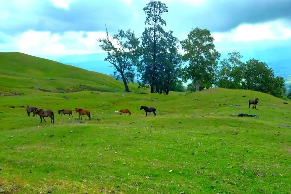 Wisata NTT, Lelogama Lembangnya NTT dengan 9 Daya Tarik Wisatanya