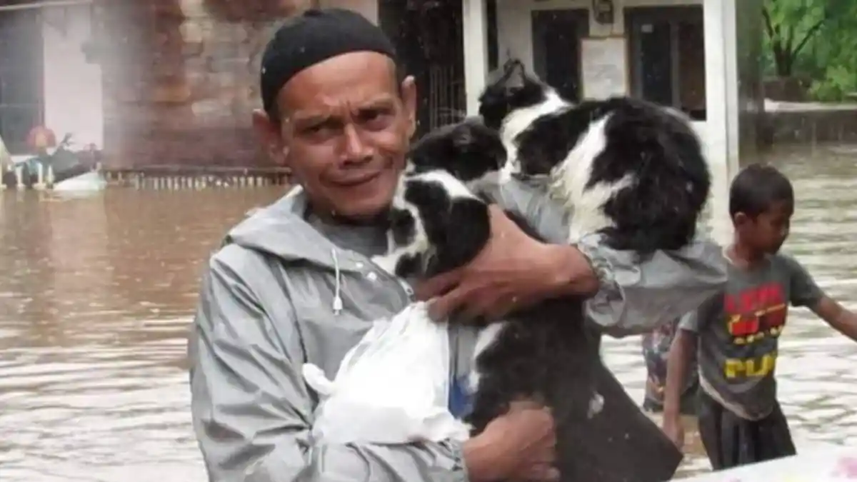 Video dan Foto Viral Hewan-hewan yang Ikut Terjebak Banjir Jakarta, Bikin Haru
