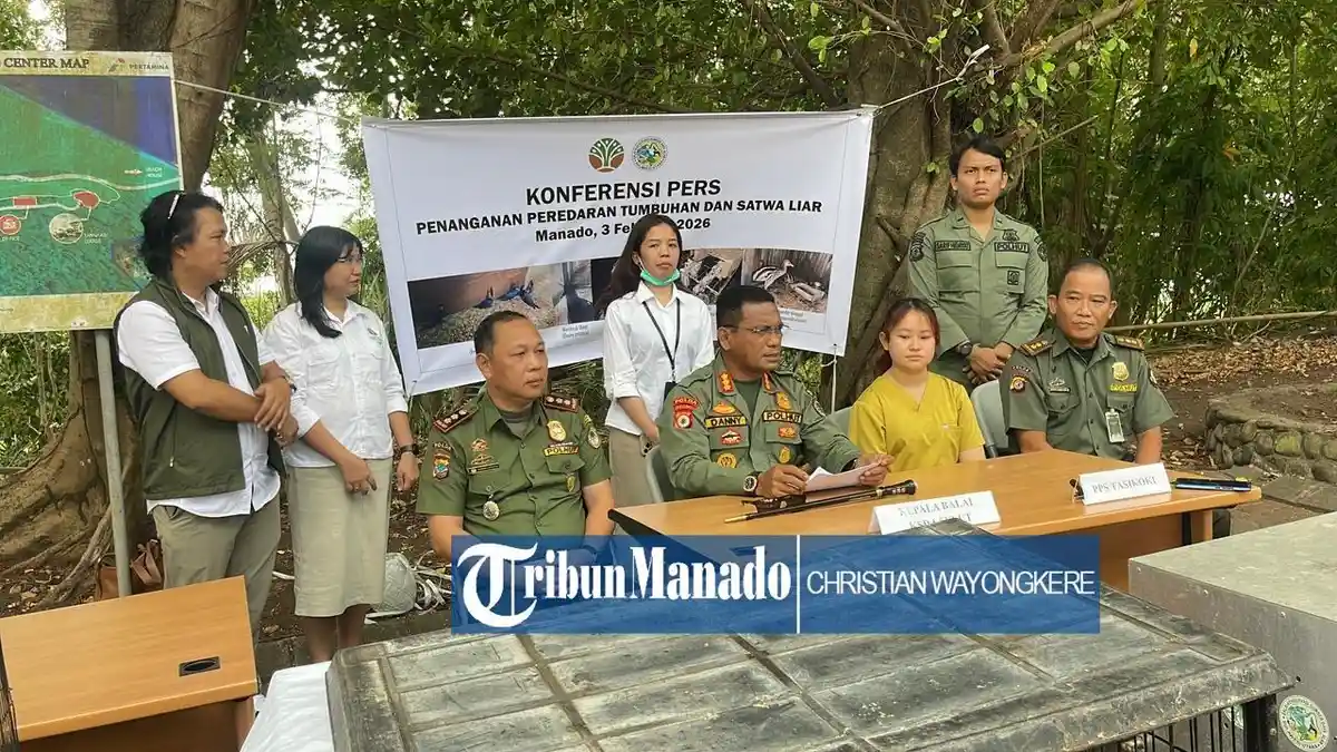 Kronologi BKSD Sulut Selamatkan 24 Ekor Satwa Liar Dilindungi dari Dugaan Perdagangan Hewan