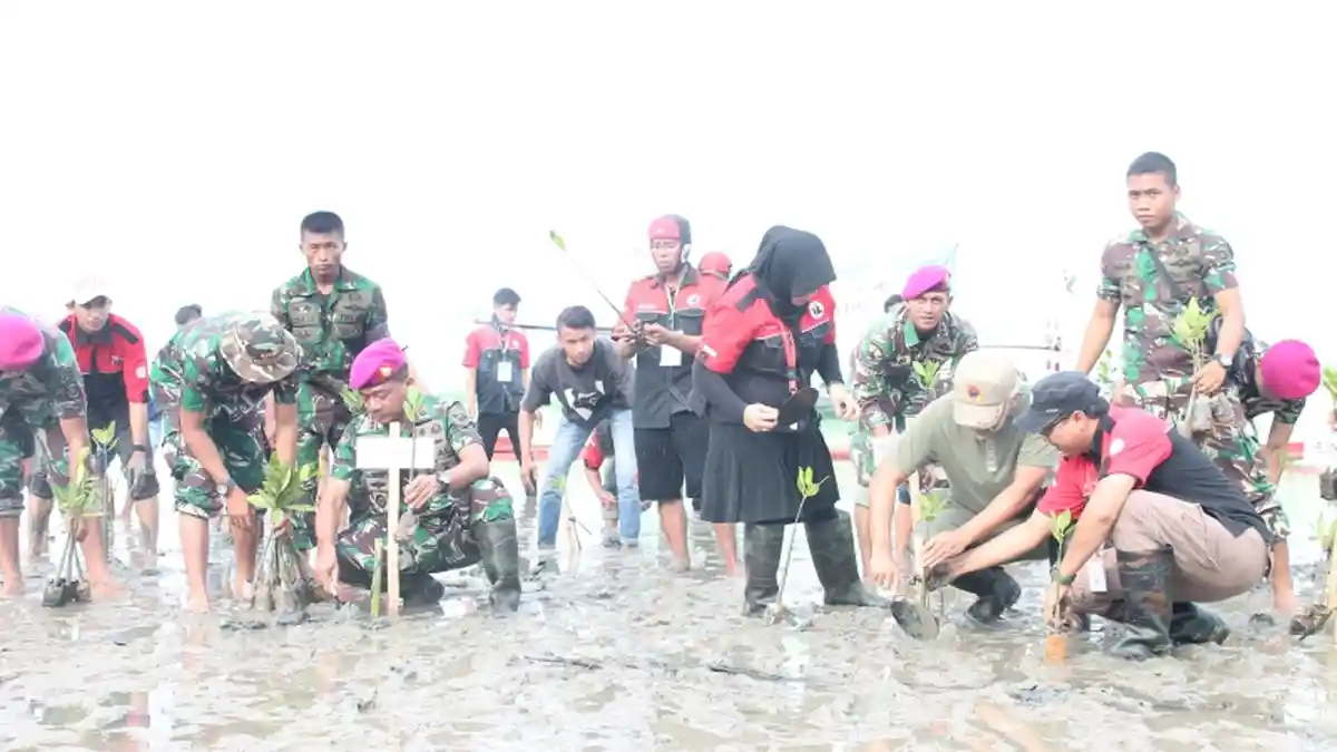 Ormas Oi dan Marinir Tanam 5 Ribu Mangrove di Pesawaran
