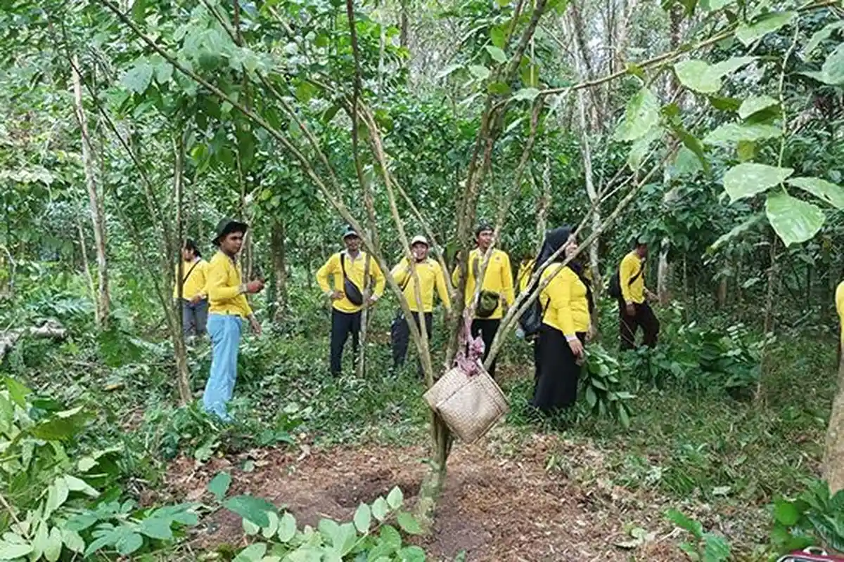 Apa FOLU Net Sink 2030? Gencar Dikampanyekan Kementerian Lingkungan Hidup dan Kehutanan