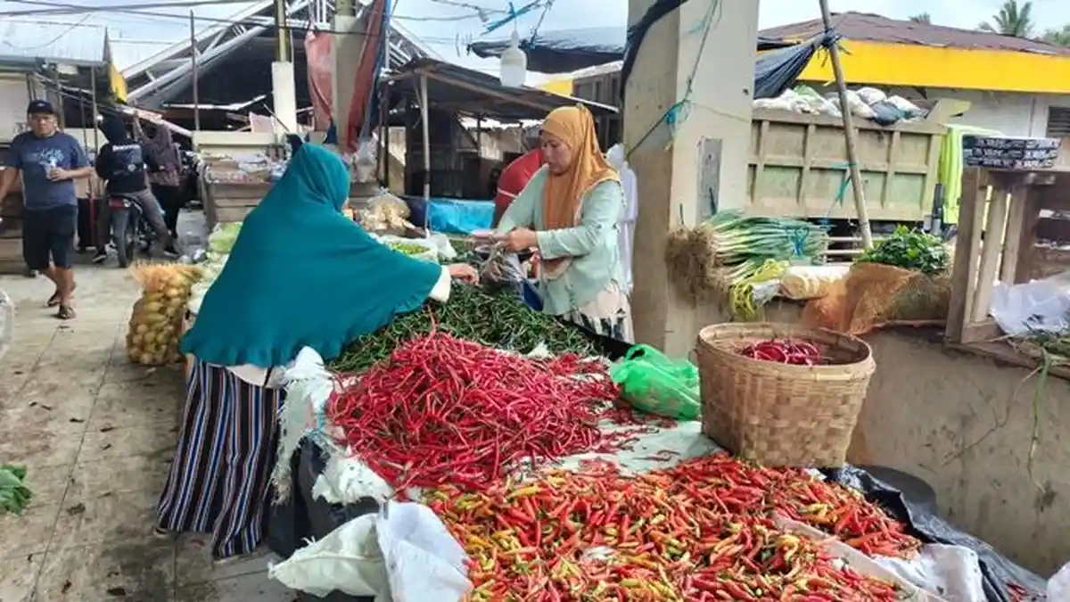 Harga Cabai di Musi Rawas 29 Oktober 2026 Fluktuatif, Cabai Merah Besar ...
