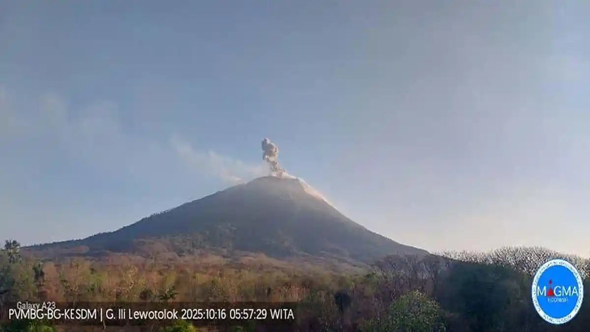 Gunung Lewotolok NTT Meletus Pagi Ini, Tinggi Kolom 600 Meter