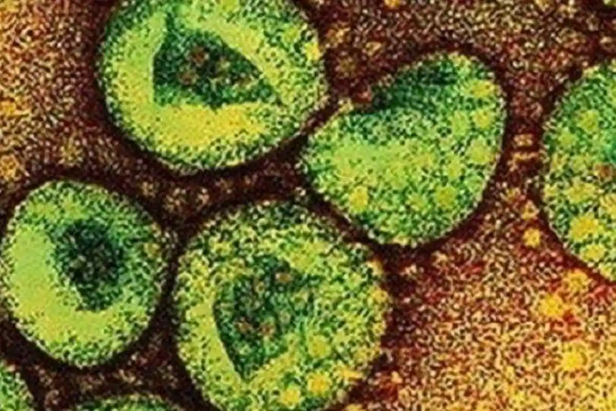 Ini Indikator yang Diperlukan Agar Covid-19 Turun Status Jadi Endemi