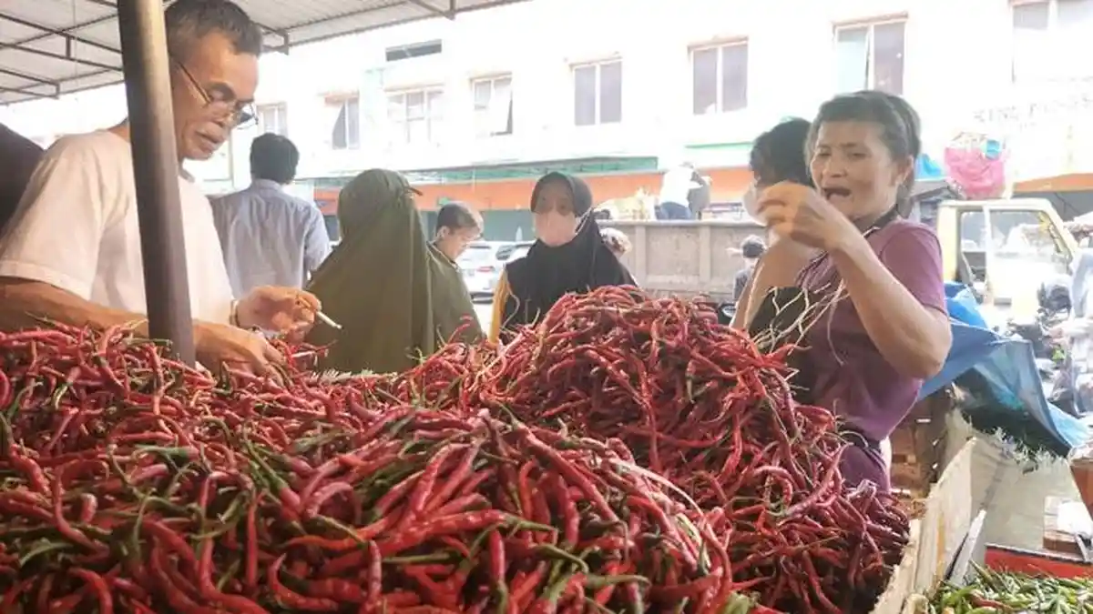 Pedagang di Kota Jambi Cabai Menjerit, Harga Terjun Bebas Sampai Jual Modal