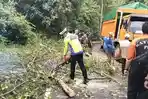 Polres Tanggamus Evakuasi Pohon Tumbang di Jalinbar Batu Kramat