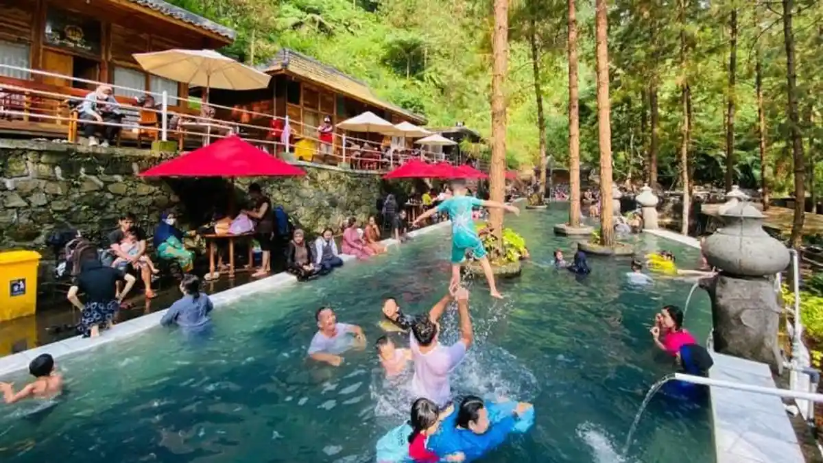 Kolam Renang Guci Forest Tegal Dibuka, Air Dingin Dikelilingi Pohon Pinus Rindang Khas Pegunungan