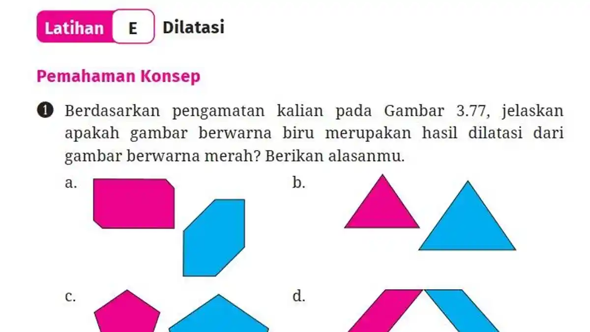 Jawaban Soal Matematika Kelas 9 Semester 2 Halaman 199 200 201 Kurikulum Merdeka, Latihan E