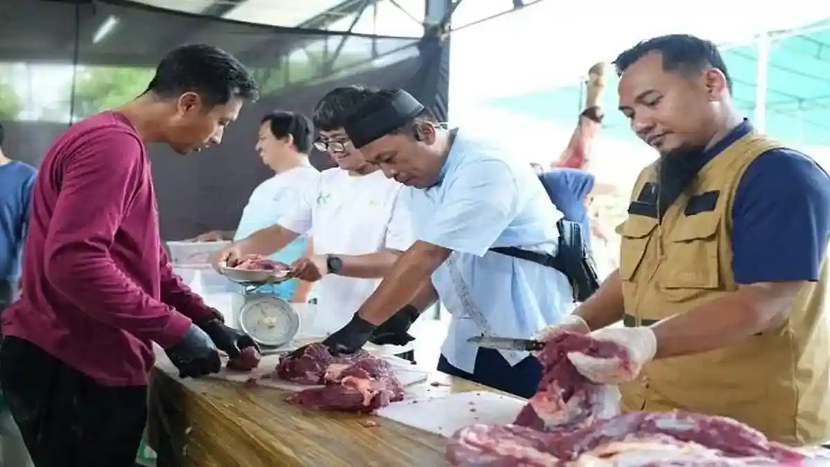 PLN UIW Babel Distribusikan 1.200 Paket Daging Kurban