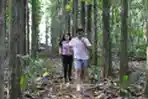 hutan-kota-synthesis-huis-paru-paru-alami-kawasan-hunian_20220719_213847.jpg