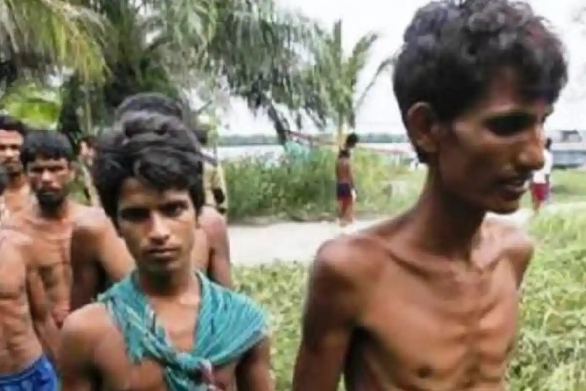 Saling Bunuh demi Makanan