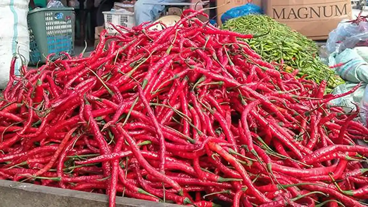 Harga Cabai Merah di Abdya Naik, Kelapa Gongseng Turun Drastis, Segini Harga Bawang Merah