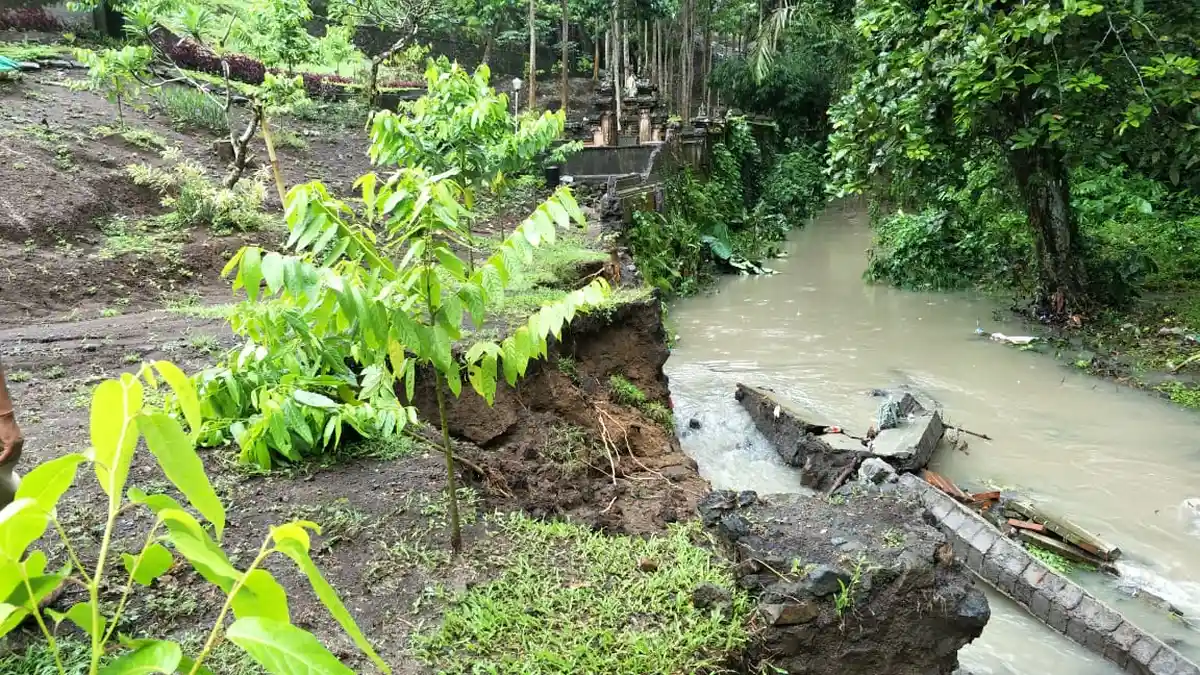 Tembok Penyengker DPRD Tabanan Ambruk Terkikis Air Bah, Tembok Pura Beji 2 Meter di Sebelahnya Aman
