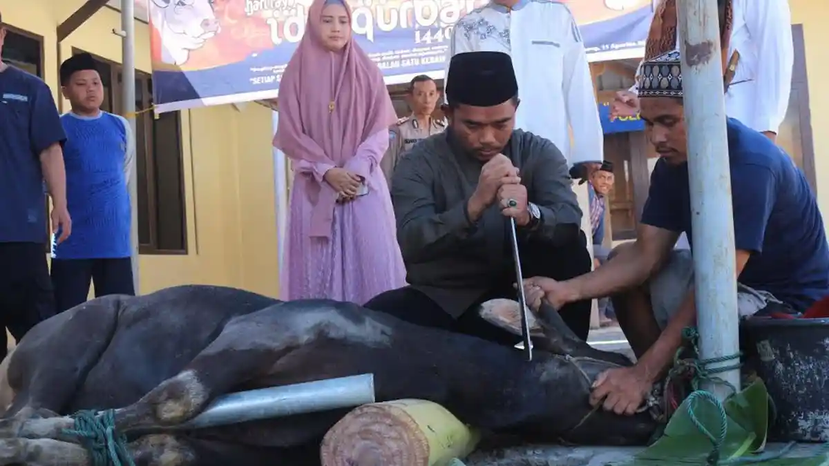 Idul Adha, Personel Polres Bantaeng Kurban Enam Sapi