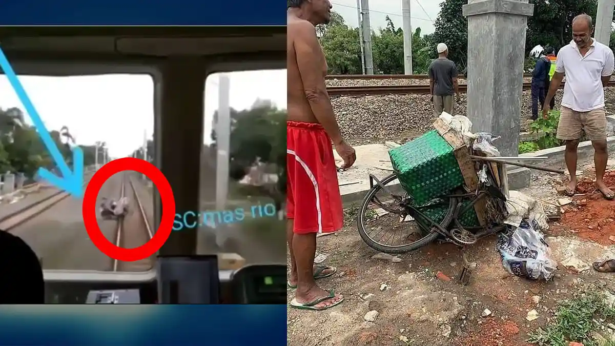 Viral Detik-detik Sepeda Ontel Tertabrak Kereta Api, Anehnya Pengendara Selamat