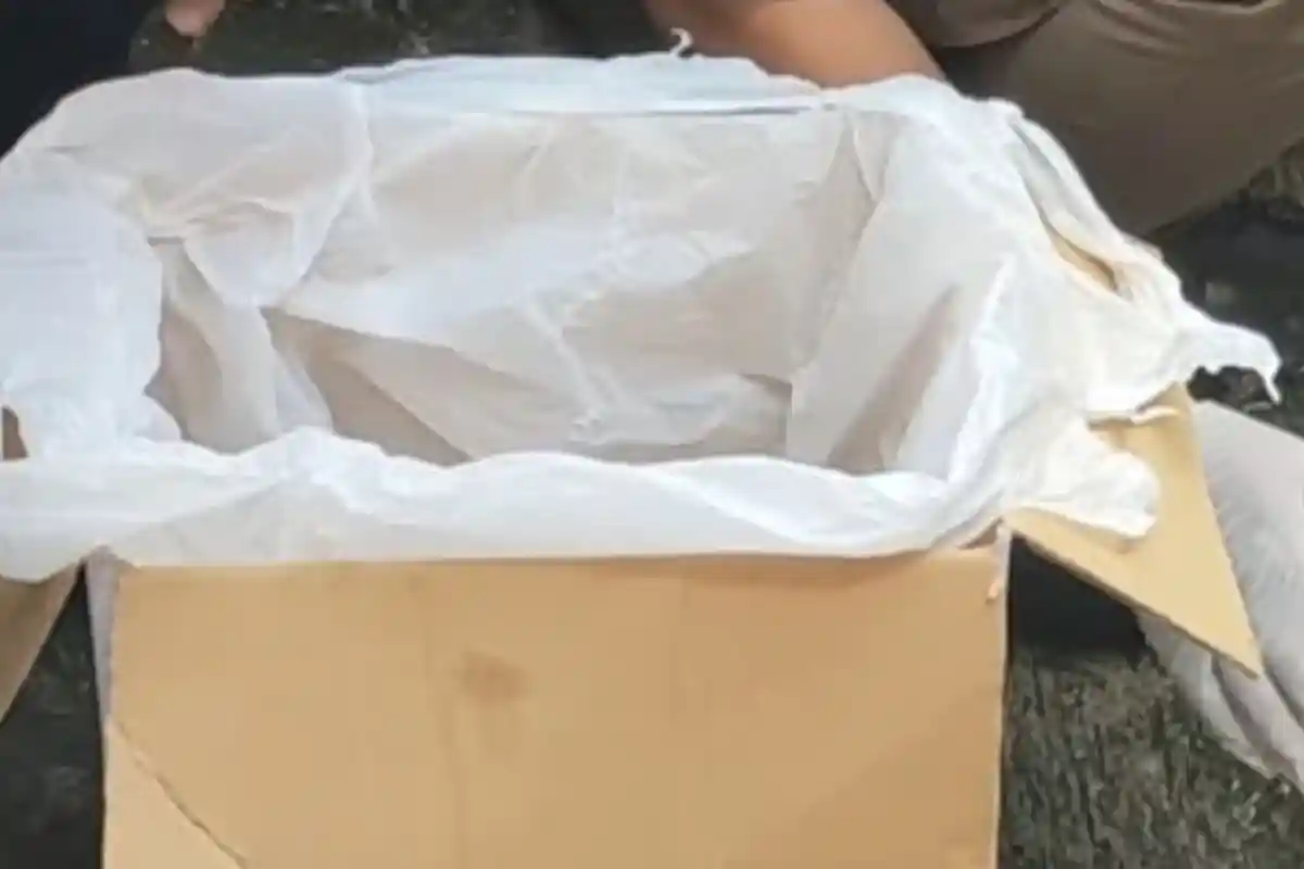 Mau Kencing, Pemuda Surabaya Ini Kaget Temukan Mayat Bayi di Sungai