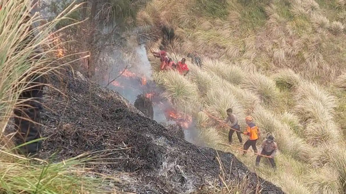 Satu Lagi Korban Karhutla Bromo Berpulang di RSUD Soetomo