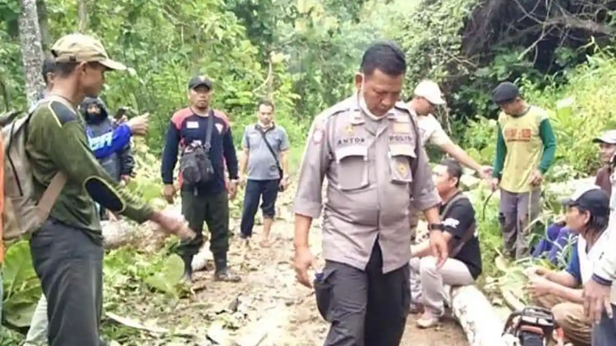 Pembalak Liar tidak Kabur Justru Santai saat Dipergoki Polisi, Bahkan Hadang Petugas