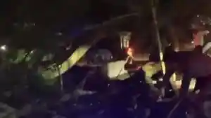 1-ORANG-TEWAS-Lokasi-pohon-tumbang-di-Jalan.jpg